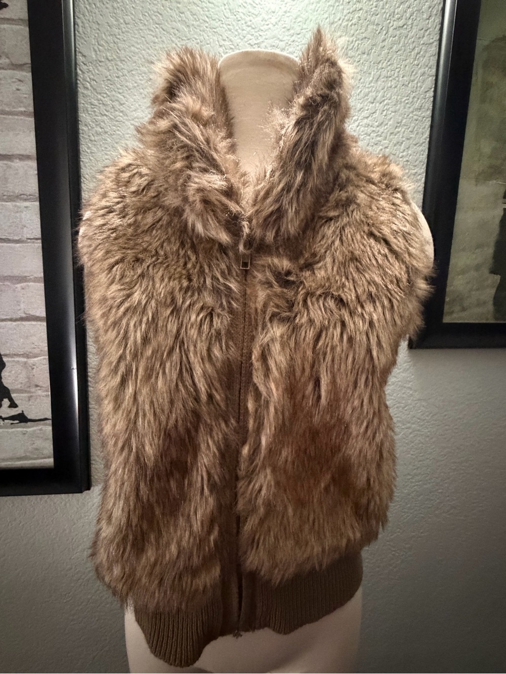 Arizona Jean Company Faux Fur-Trim Knit Vest in Brown